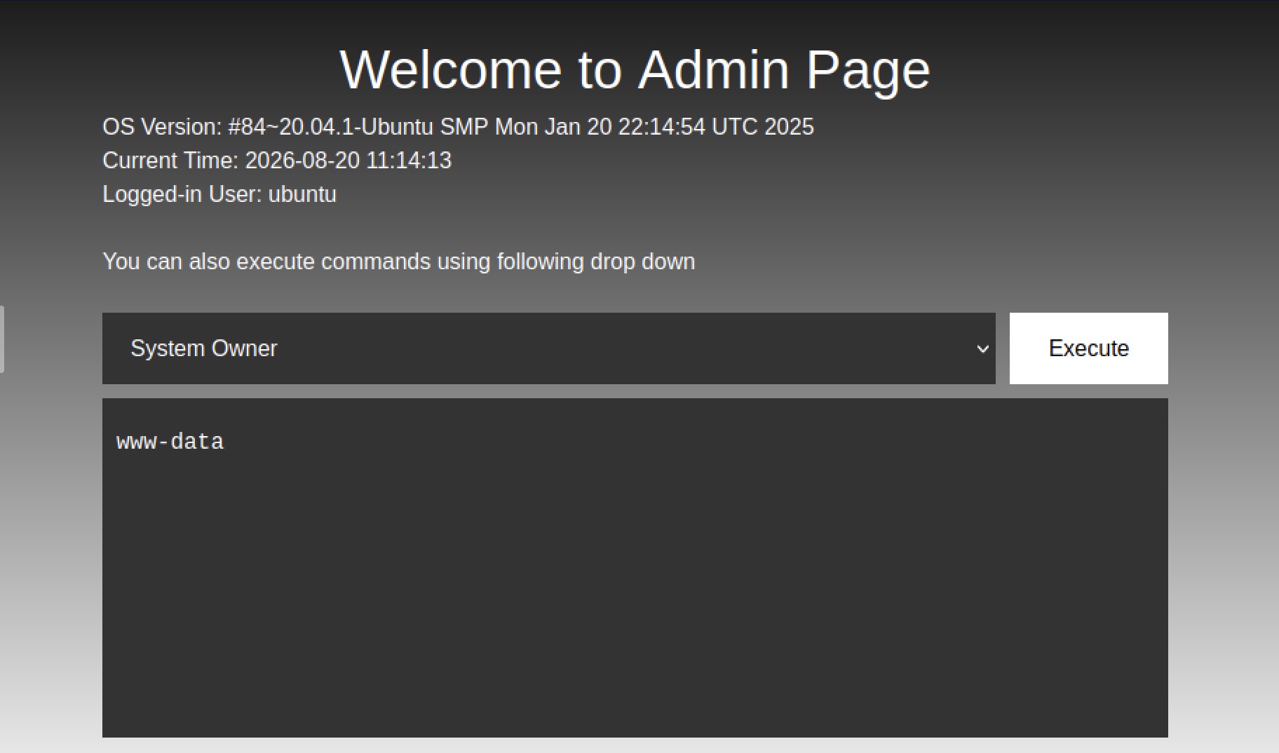 Administrator Access